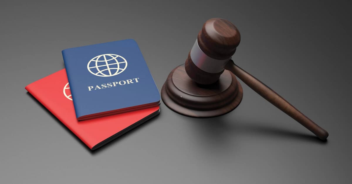 უცხოელთა სამართლებრივი მდგომარეობის საქართველოში